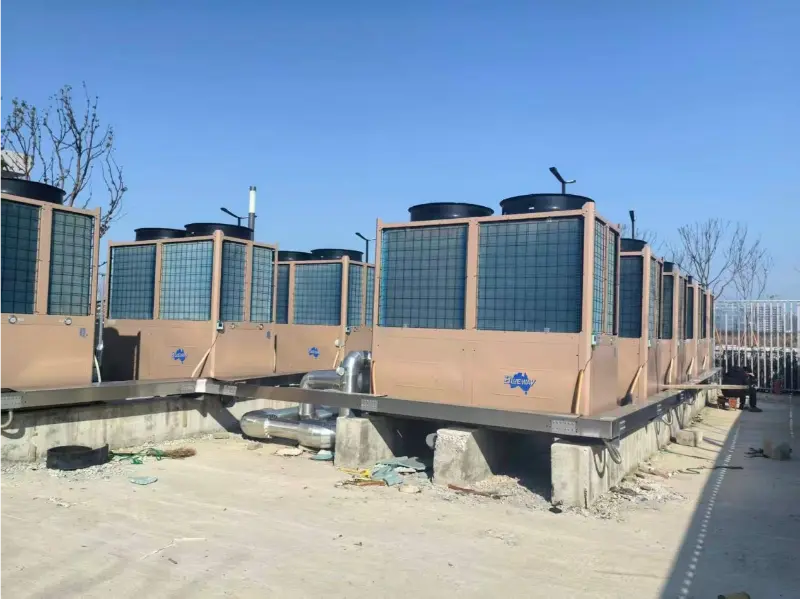 กรณีโครงการศูนย์กีฬาเหวินโจว: สนามกีฬาเหวินโจว